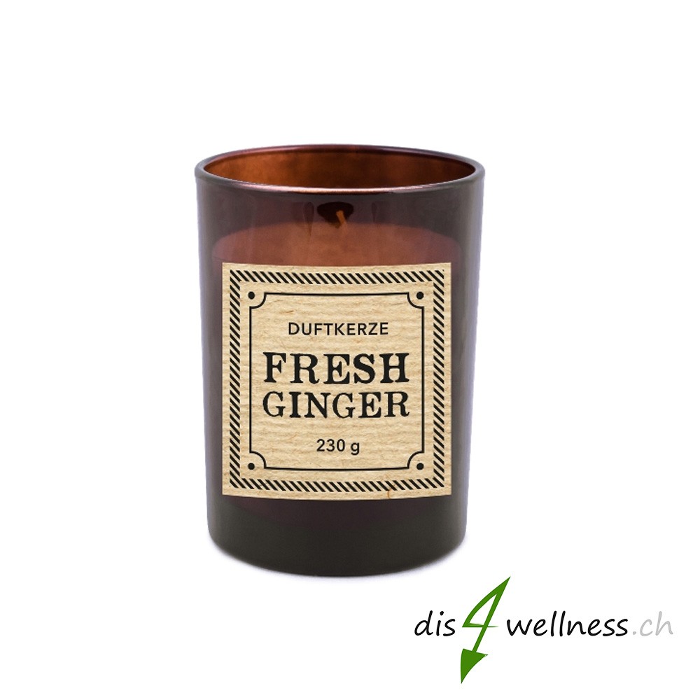 Pajoma - Braunglaskerze Apothecary "Fresh Ginger"
