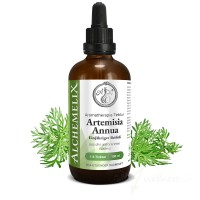Artemisia Annua (Beifuss) Tinktur hochdosiert - Alchemelix, 100 ml