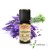 Aromell Ätherisches Lavendelöl (10 ml) 100% naturrein